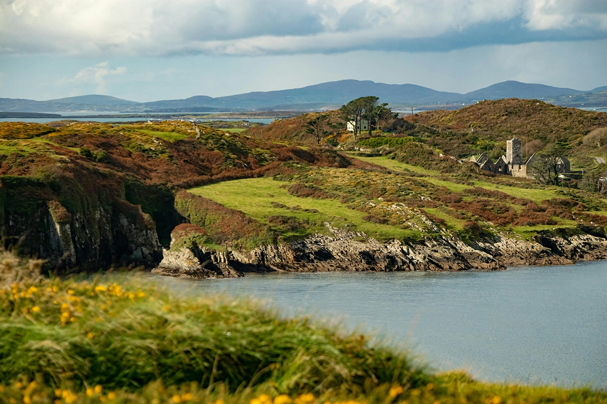 Roseli Cunha Consultoria - Transformamos seu sonho de ensino superior na Irlanda em realidade - Irlanda, Galway